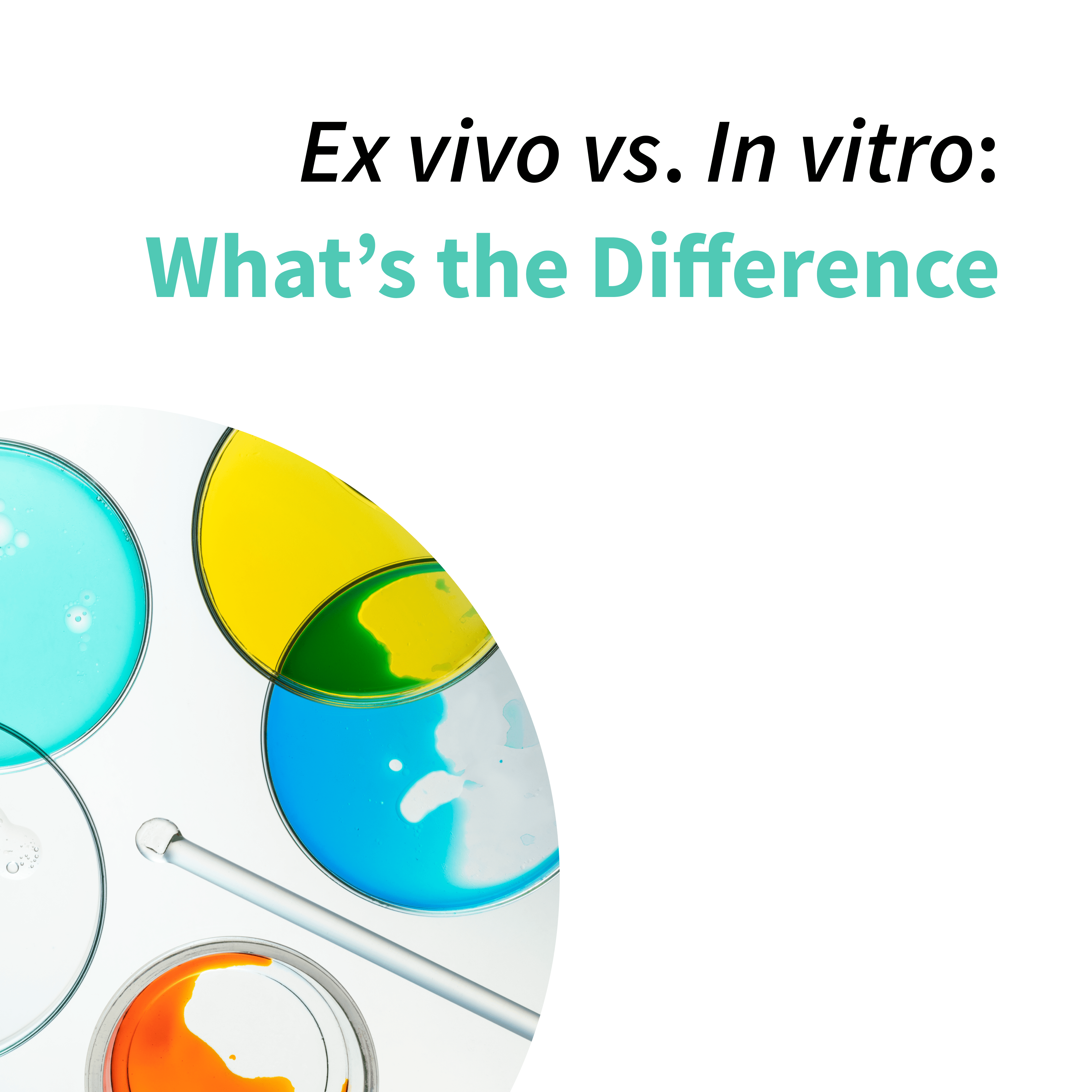 Ex vivo meaning: ex vivo vs in vitro | Biobide